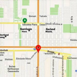 Optimize Google My Business in Garland for Top Texas Maps Visibility